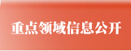 重点领域信息公开