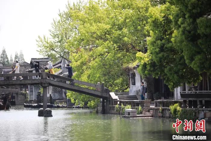 乌镇景区美景。乌镇景区供图 图片