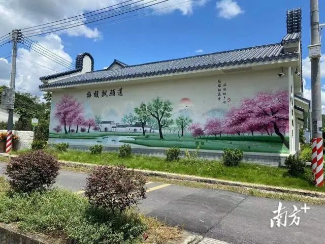 顾莲峙村村史馆。 南方+ 陈欣欣 拍摄 图片