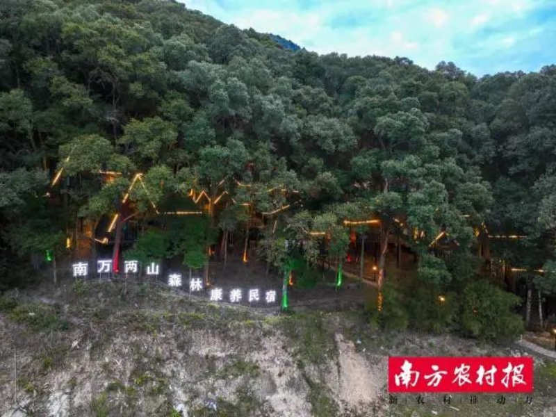 南万镇两山森林康养民宿 图片