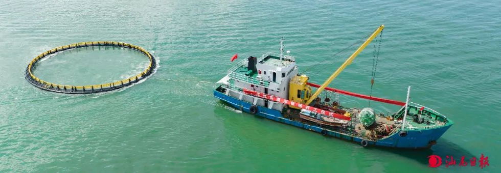 8月25日,江牧岛海洋牧场举行开工仪式。轮船拉着圆形网箱驶向市城区江牡岛现代化海洋牧场。陈茂辛 摄.jpg 图片