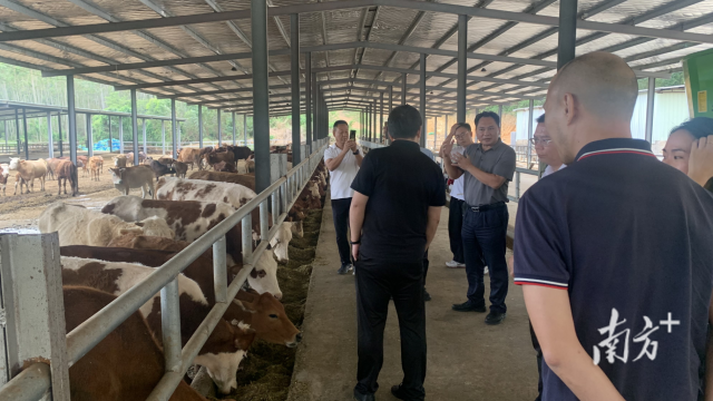 专题考察调研现场。