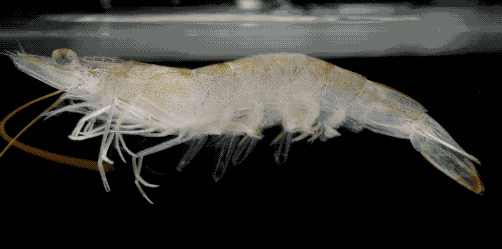 来源汕尾发布 来源汕尾发布