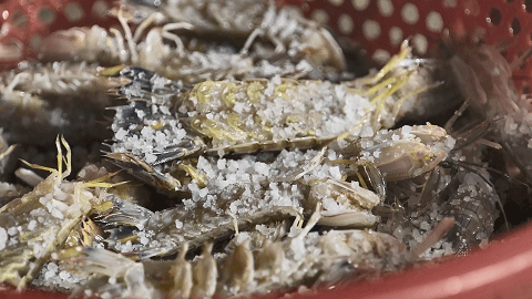 来源汕尾发布 来源汕尾发布