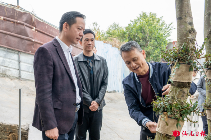 郑海涛到海丰县调研时强调 高水平高标准建设典型镇 推动“百千万工程”走深走实.png