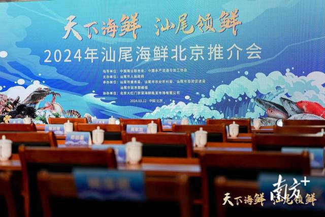 南方+ 陈欣欣 拍摄