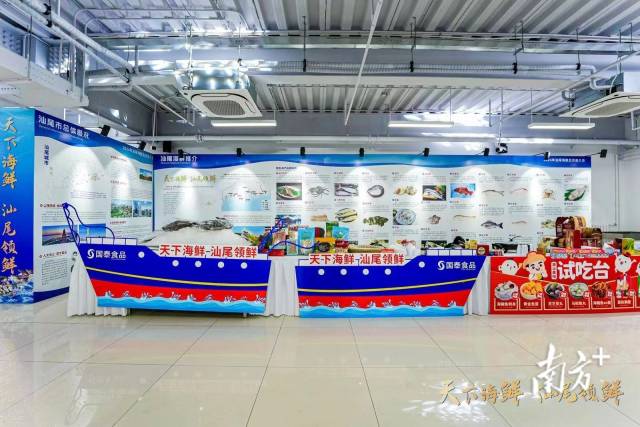 南方+ 陈欣欣 拍摄