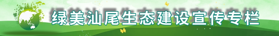 “绿美建设”专栏