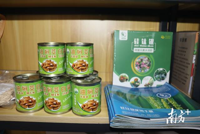 部分茭白初加工产品。&nbsp;