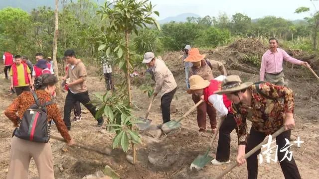 植树活动现场图。 图片
