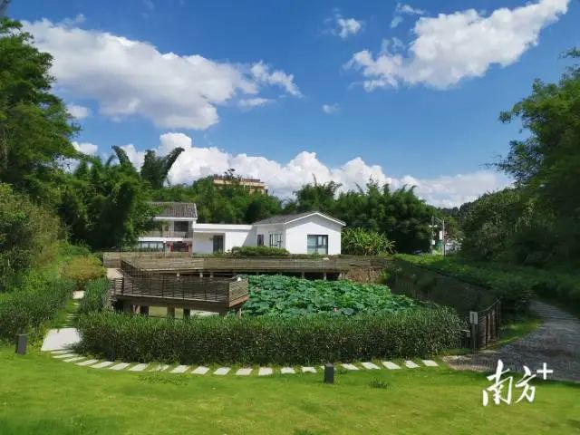 陆河县欧田村房前屋后绿意满园。 图片