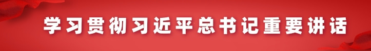 学习党的二十大精神
