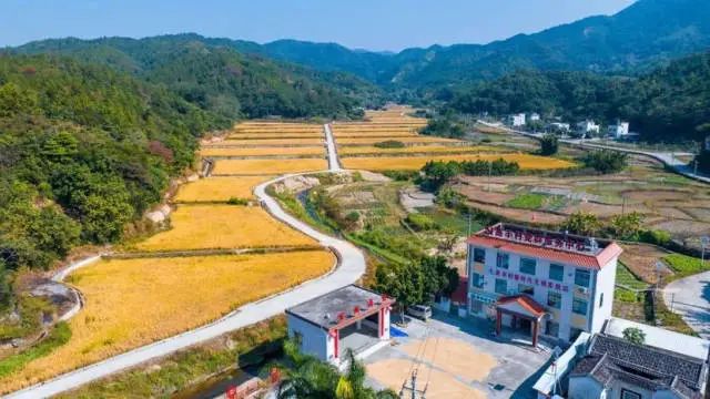 陆河县的高丰村通过“卖空气”为村集体带来20余万元收入,村党总支部书记说,这笔钱到位后已用于光伏发电项目,带动村集体持续增收。作为国家重点生态功能区和广东省林业生态县,陆河县森林覆盖率高达73.04%。根据2019年陆河县生态系统生产总值核算结果,该县生态系统生产总值达到456.89亿元,相当于当年该县GDP的5.3倍。 图片