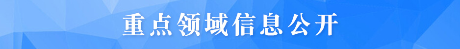 重点领域信息公开