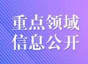 重点领域信息公开