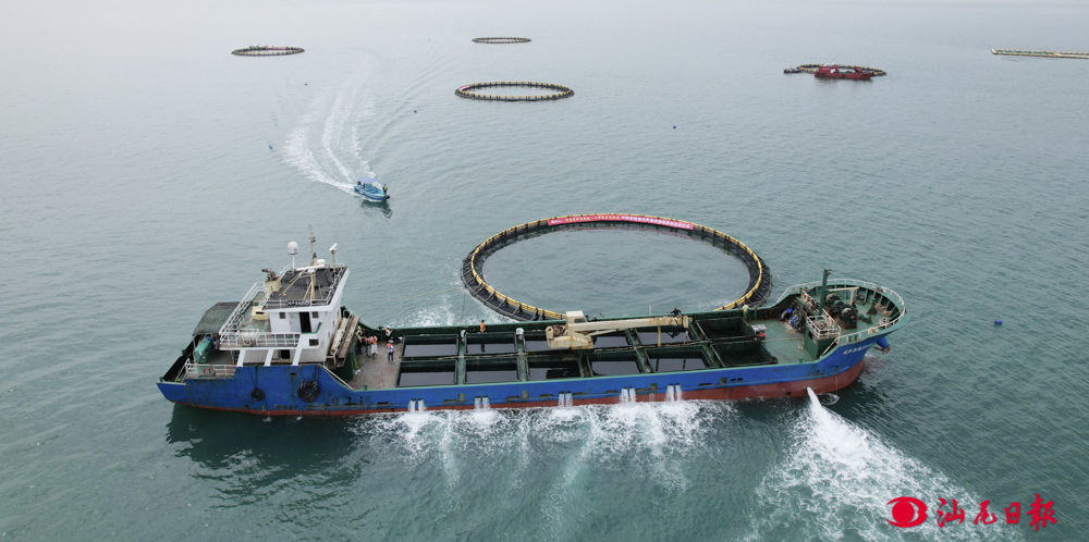 7224680b366c447fa2a60c40327cb446 (1).jpg