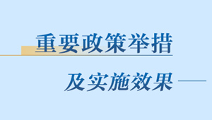 重要政策举措及实施效果