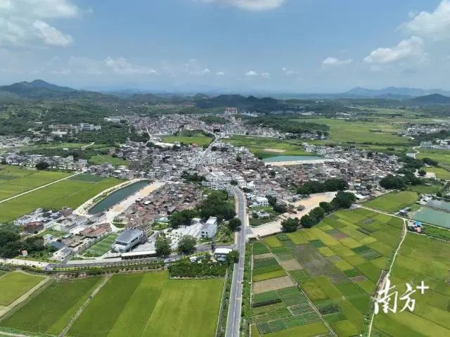 县道X805线(赤坑镇仁家村路段)。 图片