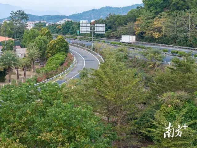 高速公路霞湖出入口。 图片