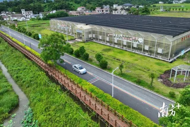 村道CD82线(海丰县附城镇新山村现代农业示范基地)。 图片