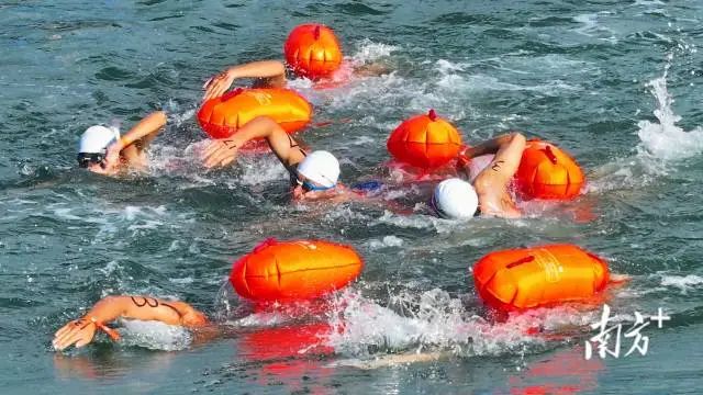 南方+ 陈保良 拍摄