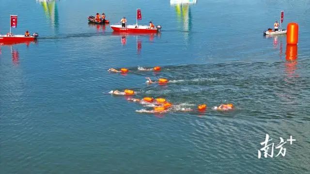 南方+ 陈保良 拍摄