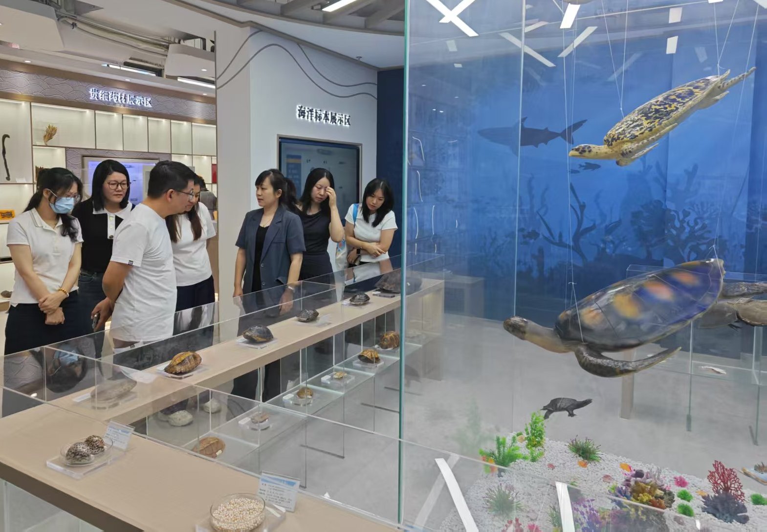 标本馆1.jpg