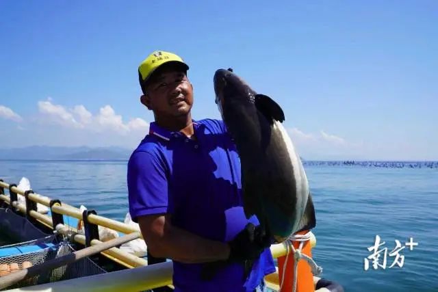 通讯员 陈家裕 供图 图片