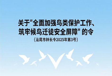 汕尾发布2025年第3号林长令，筑牢候鸟迁徙安全屏障
