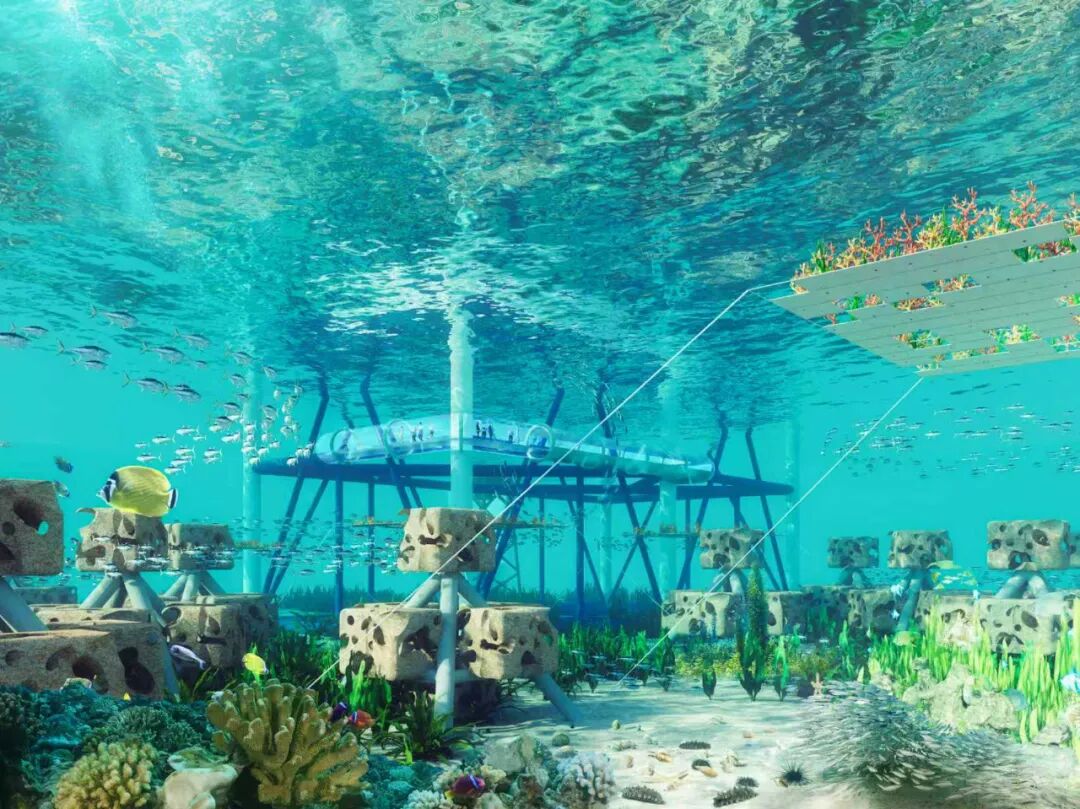 汕尾：以科技创新驱动高质量发展